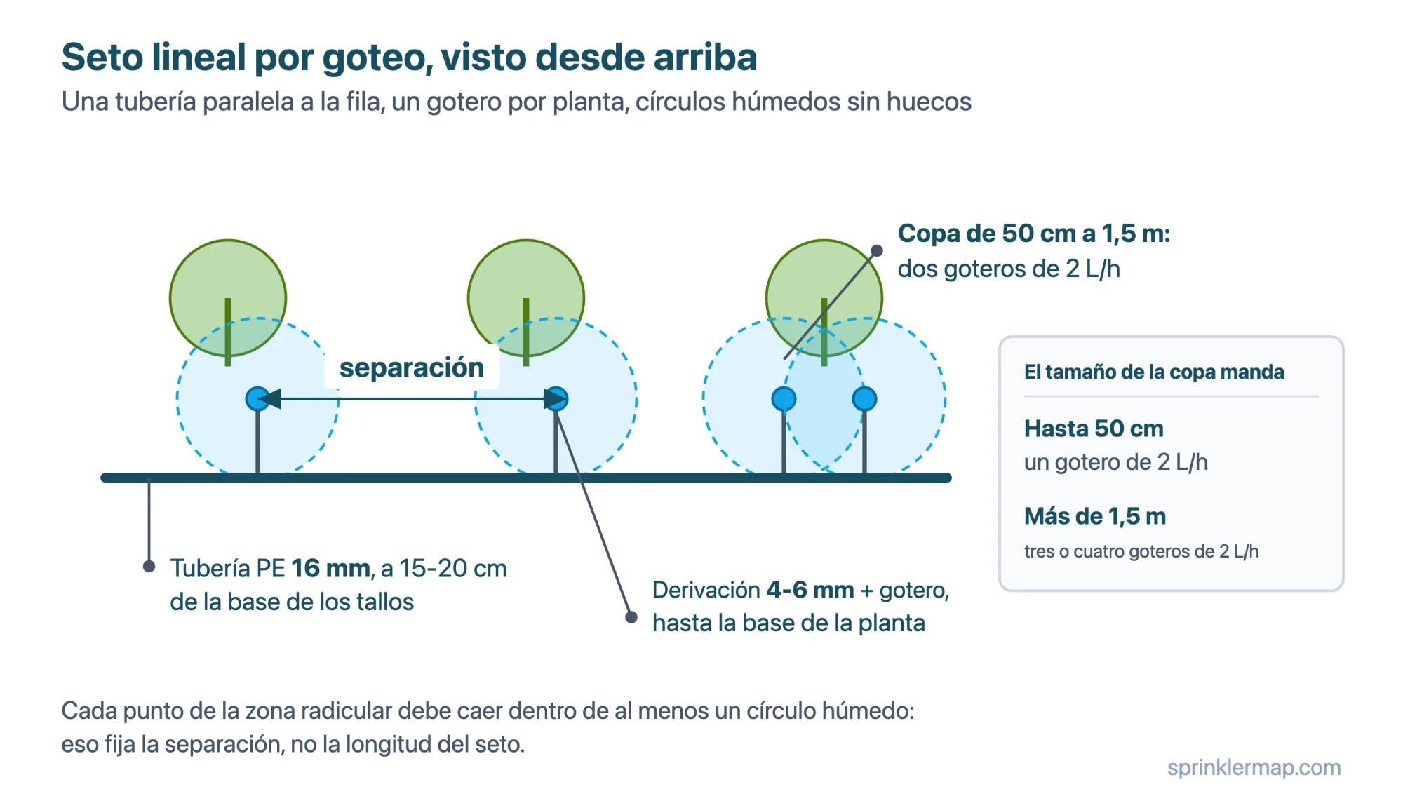 Seto lineal por goteo: tubería PE de 16 mm a 15-20 cm de la base de los tallos, derivación de 4-6 mm con gotero por planta, dos goteros de 2 L/h para copas de 50 cm a 1,5 m