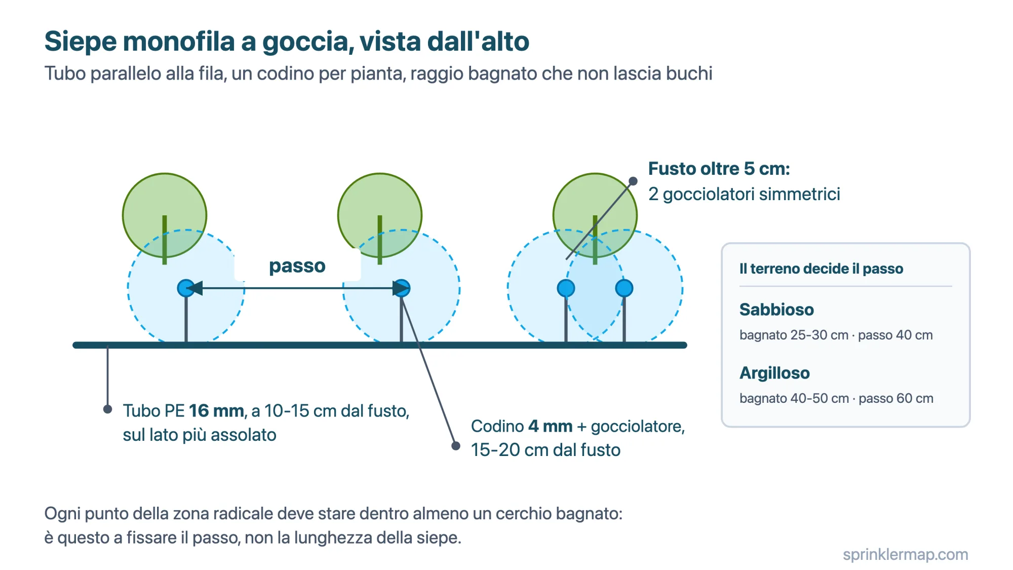 Layout a goccia per siepe monofila: tubo PE 16 mm a 10-15 cm dal fusto sul lato più assolato, codino da 4 mm con gocciolatore a 15-20 cm, due gocciolatori per fusti oltre 5 cm, passo da 40 cm su sabbia a 60 cm su argilla